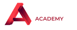 Infonandes Academy